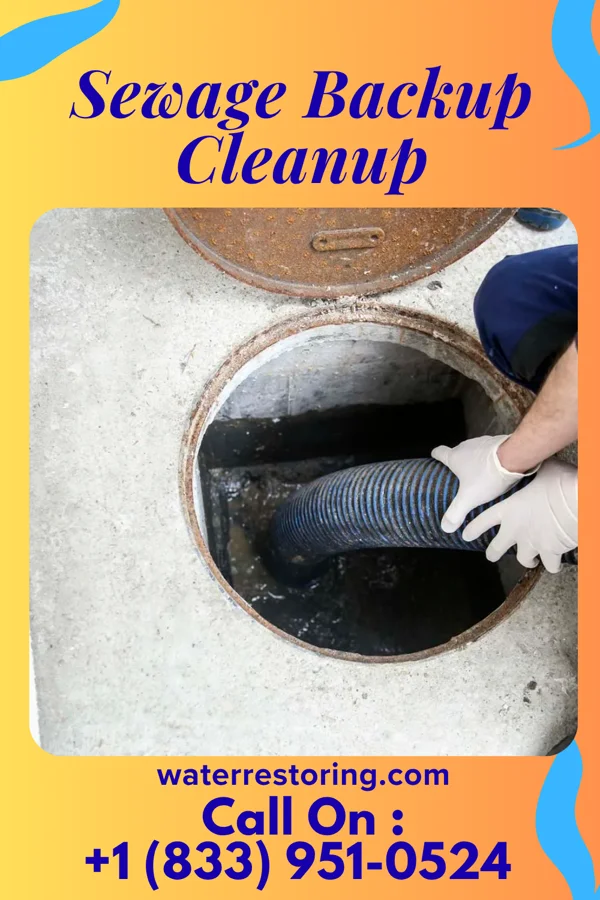 Sewage Backup Cleanup in Lansing, NC