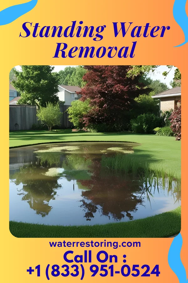 Standing Water Removal in Lansing, NC